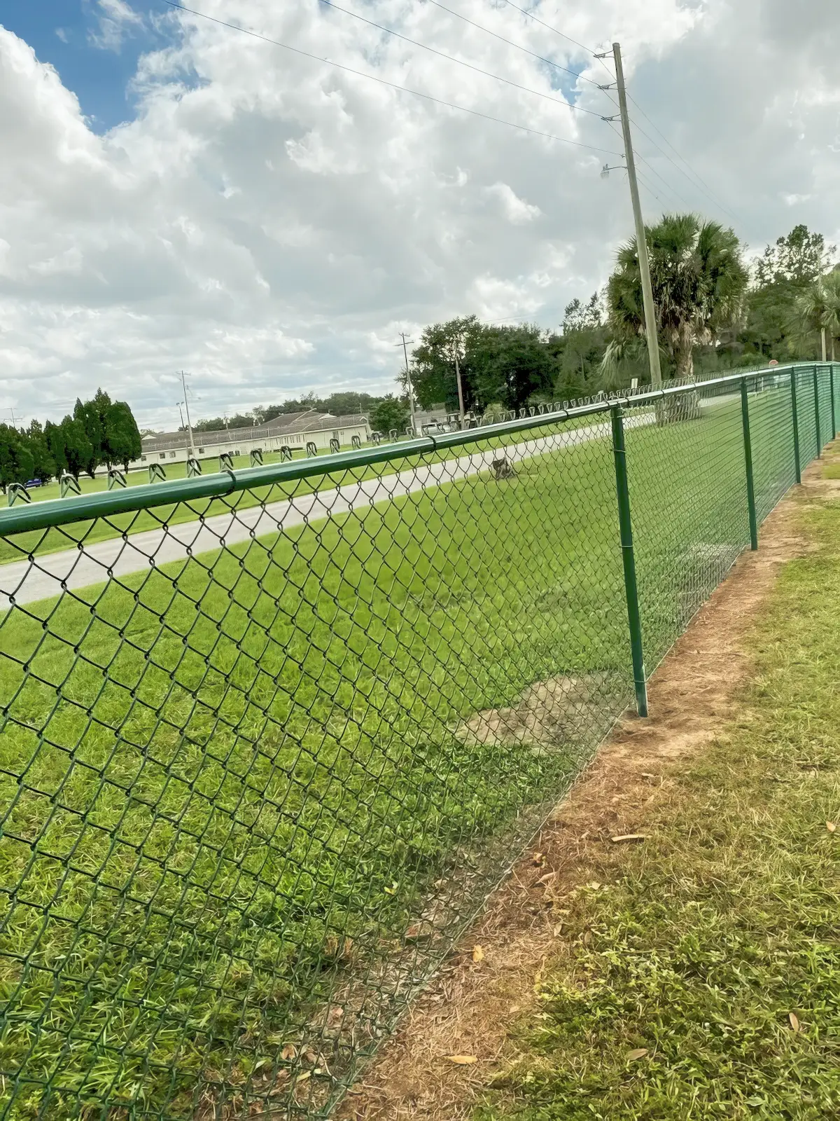 chain fence